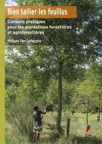 Bien tailler les feuillus : conseils pratiques pour l'entretien des plantations forestières et agroforestières