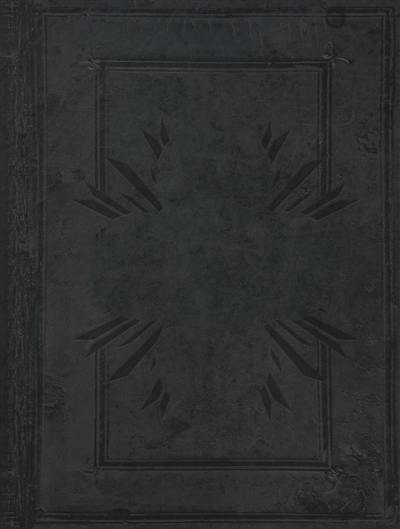 Cauchon... ou L'homme qui tua Jeanne d'Arc