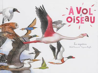 A vol d'oiseau : les migrations A vol d'oiseau : les migrations