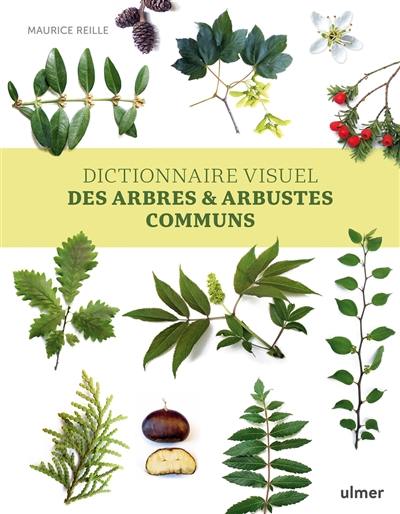 Dictionnaire visuel des arbres & arbustes communs Dictionnaire visuel des arbres & arbustes communs