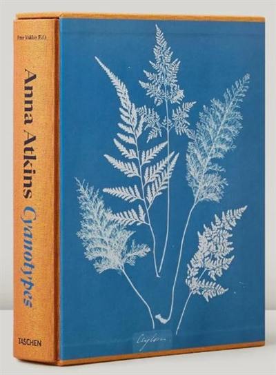 Anna Atkins : cyanotypes Anna Atkins : cyanotypes