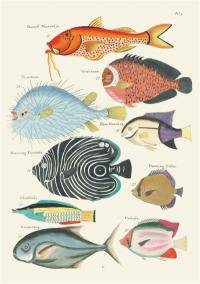 Poissons, écrevisses et crabes : carnet