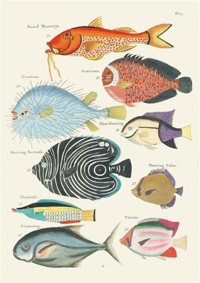 Poissons, écrevisses et crabes : carnet