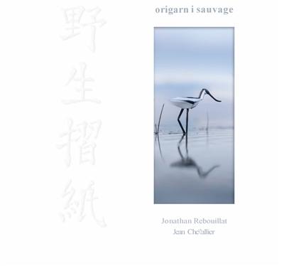 Origami sauvage