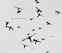Trent Parke Minutes to Midnight