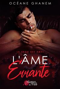La saga des âmes. Vol. 3. L'âme errante. Vol. 1