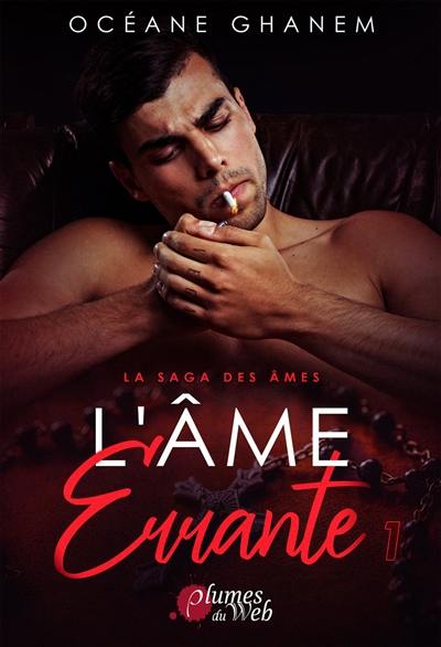 La saga des âmes. Vol. 3. L'âme errante. Vol. 1