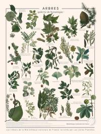 Arbres, galerie de botanique : affiche