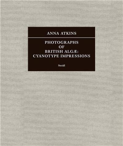 Anna Atkins Photographs of British Algæ Cyanotype Impressions