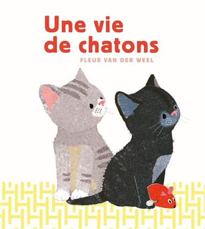 Une vie de chatons Une vie de chatons