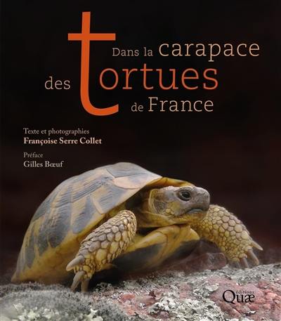 Dans la carapace des tortues de France Dans la carapace des tortues de France