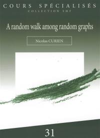 A random walk among random graphs