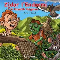 Zidor l'endormi et le kayamb magique