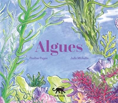 Algues Algues