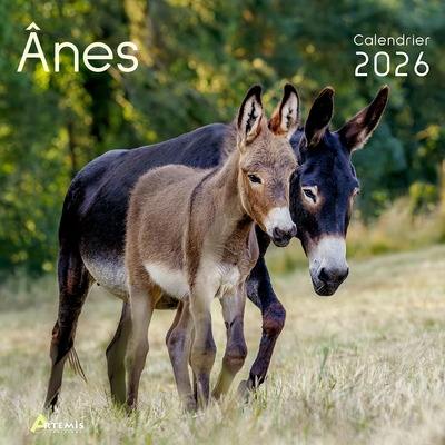 Anes : calendrier 2026 Anes : calendrier 2026