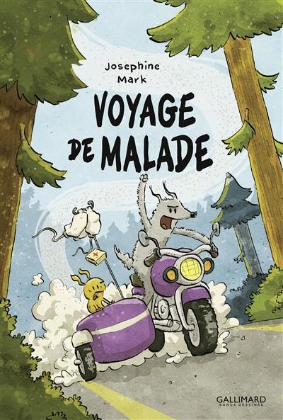 Voyage de malade Voyage de malade