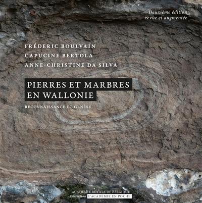 Pierres et marbres en Wallonie : reconnaissance et genèse