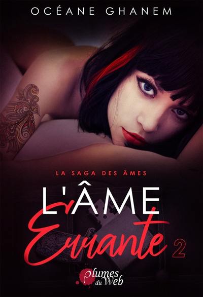 La saga des âmes. Vol. 4. L'âme errante. Vol. 2