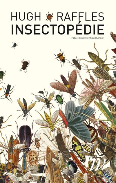 Insectopédie Insectopédie