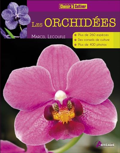 Les orchidées Les orchidées