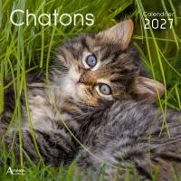 Chatons : calendrier 2027
