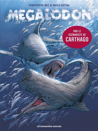 Mégalodon Mégalodon
