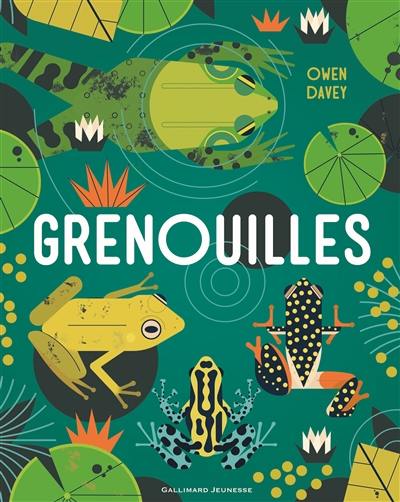 Grenouilles Grenouilles