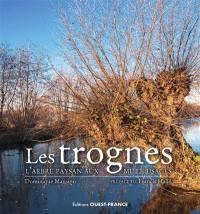 Les trognes : l'arbre paysan aux mille usages