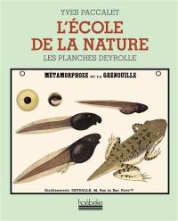 L'école de la nature : les planches Deyrolle
