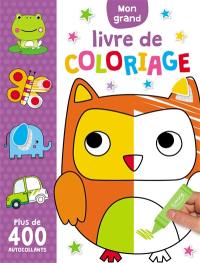 Mon grand livre de coloriage : plus de 400 autocollants