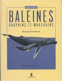 Les baleines, les dauphins et les marsouins