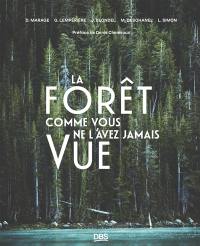 La forêt comme vous ne l'avez jamais vue