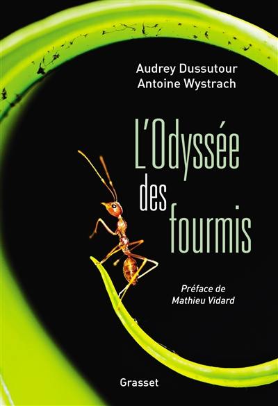 L'odyssée des fourmis L'odyssée des fourmis