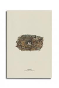 Tohi à flancs roux. Chewink