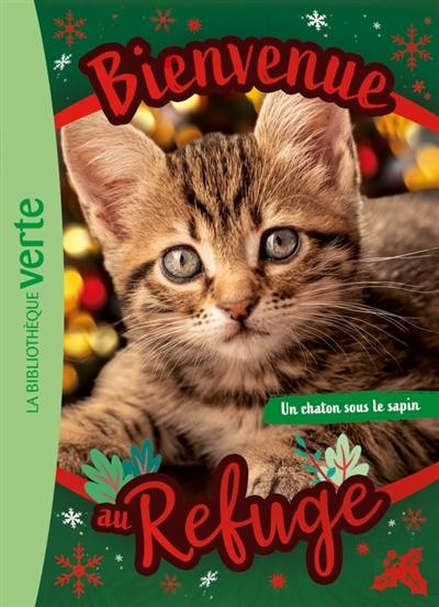 Bienvenue au refuge. Un chaton sous le sapin