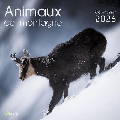 Animaux de montagne : calendrier 2026