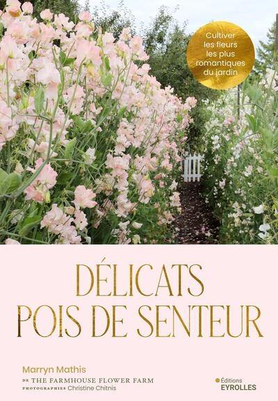Délicats pois de senteur : cultiver le romantisme dans votre jardin