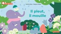 Il pleut, il mouille