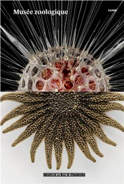 Musée zoologique : guide