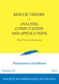 Panoramas et synthèses, n° 65. Kinetic theory : analysis, computation ans applications