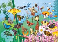 Les papillons : puzzle 48 pièces