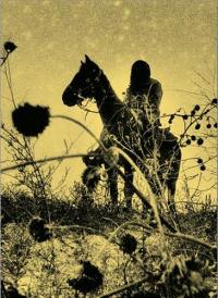 Aux ombres