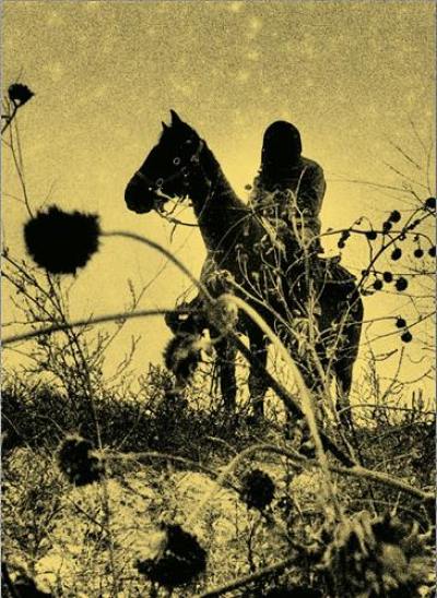 Aux ombres
