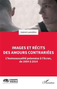 Images et récits des amours contrariées : l'homosexualité polonaise à l'écran, de 2004 à 2014