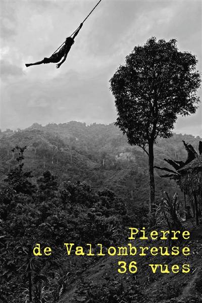 Pierre de Vallombreuse : 36 vues Pierre de Vallombreuse : 36 vues