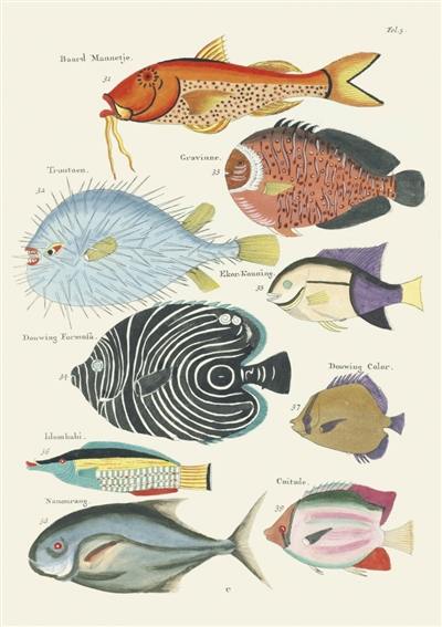 Poissons, écrevisses et crabes : carnet