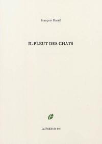 Il pleut des chats