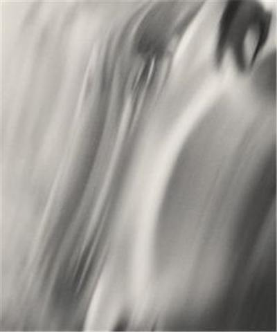 Henry O. Head : Twelve Acres