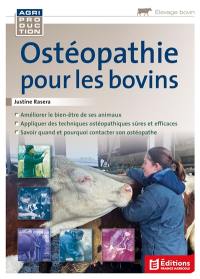 Ostéopathie pour les bovins