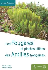 Les fougères et plantes alliées des Antilles françaises Les fougères et plantes alliées des Antilles françaises